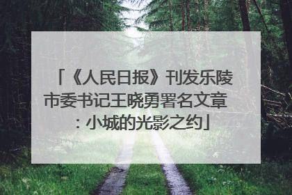 《人民日报》刊发乐陵市委书记王晓勇署名文章：小城的光影之约
