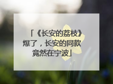 《长安的荔枝》爆了，长安的同款竟然在宁波