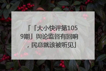 「大小快评第1059期」舆论监督有回响，民意就该被听见