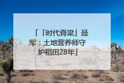 「时代脊梁」聂军：土地营养师守护稻田28年
