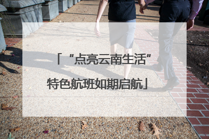 “点亮云南生活”特色航班如期启航