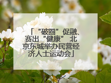 “破圈”促融、赛出“健康” 北京东城举办民营经济人士运动会