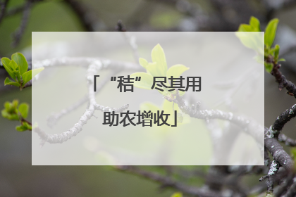 “秸”尽其用 助农增收
