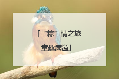 “粽”情之旅 童趣满溢