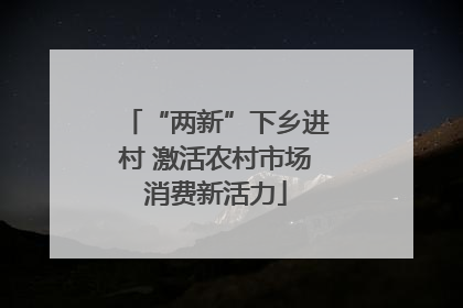 “两新”下乡进村 激活农村市场消费新活力