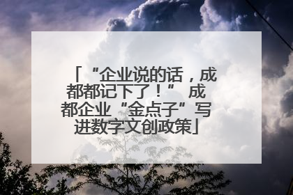 “企业说的话，成都都记下了！” 成都企业“金点子”写进数字文创政策