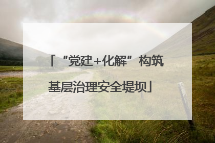 “党建+化解”构筑基层治理安全堤坝