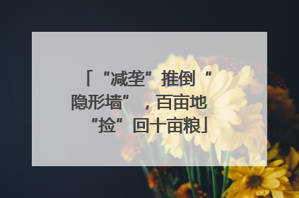 “减垄”推倒“隐形墙”，百亩地“捡”回十亩粮