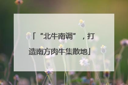 “北牛南调”，打造南方肉牛集散地