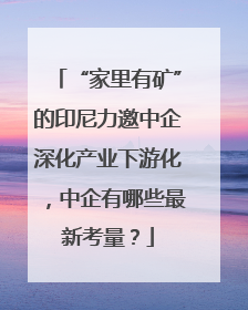 “家里有矿”的印尼力邀中企深化产业下游化，中企有哪些最新考量？