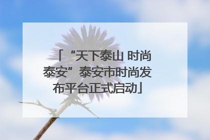 “天下泰山 时尚泰安”泰安市时尚发布平台正式启动
