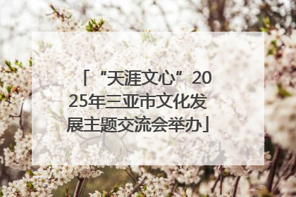 “天涯文心”2025年三亚市文化发展主题交流会举办