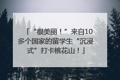 “很美丽！”来自10多个国家的留学生“沉浸式”打卡桃花山！