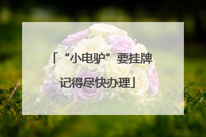 “小电驴”要挂牌 记得尽快办理