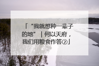 “我就想种一辈子的地”｜何以天府，我们用粮食作答②