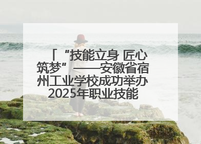 “技能立身 匠心筑梦”——安徽省宿州工业学校成功举办2025年职业技能活动周各项活动