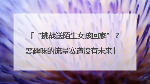 “挑战送陌生女孩回家”？恶趣味的流量赛道没有未来