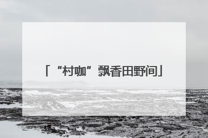 “村咖”飘香田野间