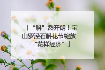 “斛”然开朗！宝山罗泾石斛花节绽放“花样经济”