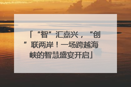 “智”汇嘉兴，“创”联两岸！一场跨越海峡的智慧盛宴开启
