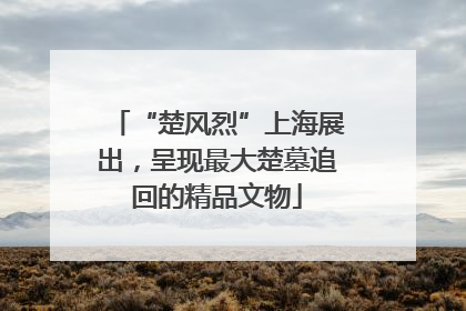 “楚风烈”上海展出，呈现最大楚墓追回的精品文物
