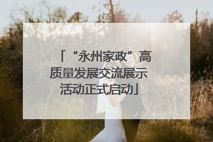 “永州家政”高质量发展交流展示活动正式启动