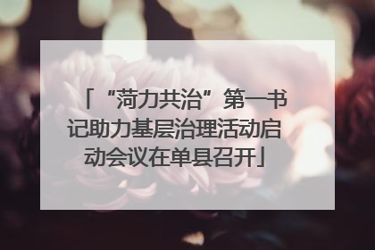 “菏力共治”第一书记助力基层治理活动启动会议在单县召开