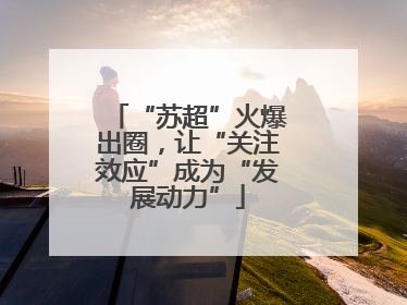 “苏超”火爆出圈，让“关注效应”成为“发展动力”