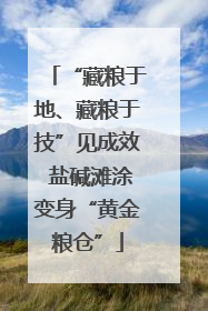 “藏粮于地、藏粮于技”见成效 盐碱滩涂变身“黄金粮仓”