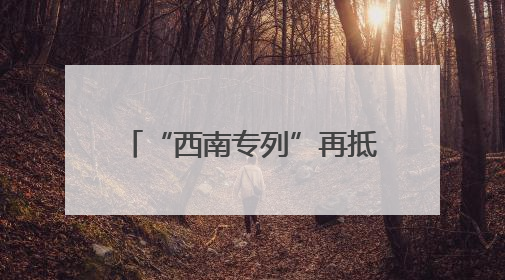 “西南专列”再抵固原 870名游客畅享清凉红色之旅