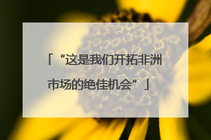 “这是我们开拓非洲市场的绝佳机会”