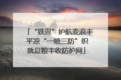 “铁翼”护航麦浪丰 平凉“一喷三防”织就夏粮丰收防护网
