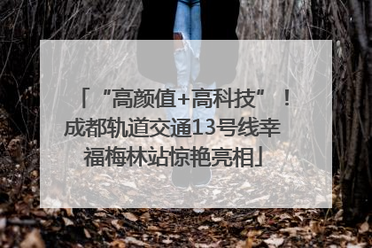 “高颜值+高科技”！成都轨道交通13号线幸福梅林站惊艳亮相