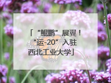 “鲲鹏”展翼！“运-20”入驻西北工业大学