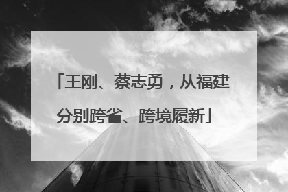 王刚、蔡志勇，从福建分别跨省、跨境履新
