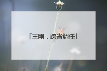 王刚，跨省调任