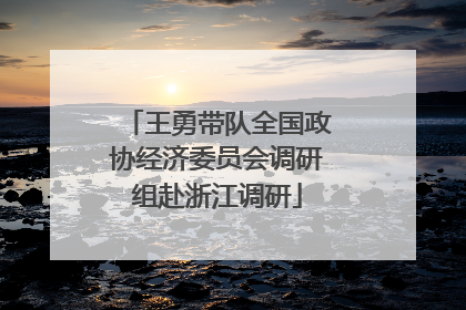 王勇带队全国政协经济委员会调研组赴浙江调研