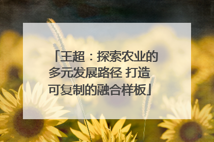 王超：探索农业的多元发展路径 打造可复制的融合样板