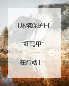 环境保护日 “红马甲”在行动