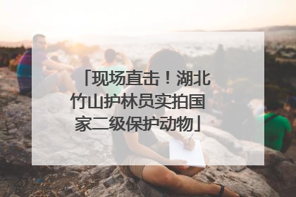 现场直击！湖北竹山护林员实拍国家二级保护动物