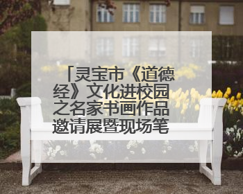 灵宝市《道德经》文化进校园之名家书画作品邀请展暨现场笔会活动举行