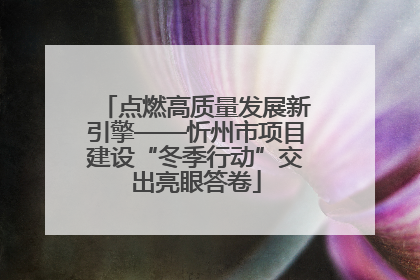 点燃高质量发展新引擎——忻州市项目建设“冬季行动”交出亮眼答卷