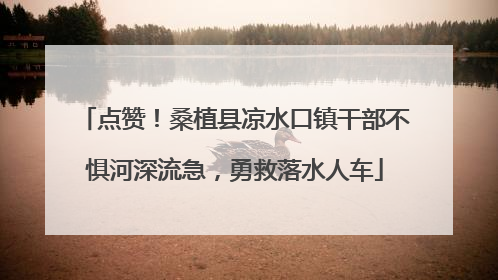 点赞！桑植县凉水口镇干部不惧河深流急，勇救落水人车