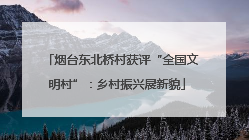 烟台东北桥村获评“全国文明村”：乡村振兴展新貌