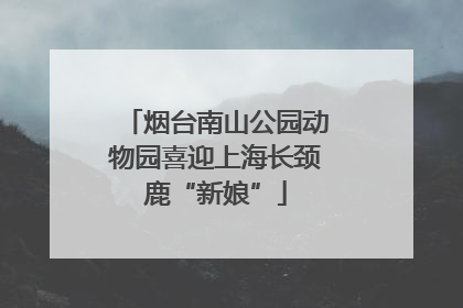 烟台南山公园动物园喜迎上海长颈鹿“新娘”