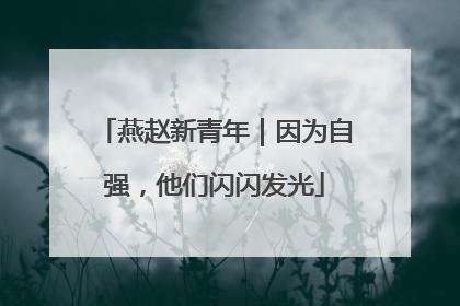 燕赵新青年｜因为自强，他们闪闪发光