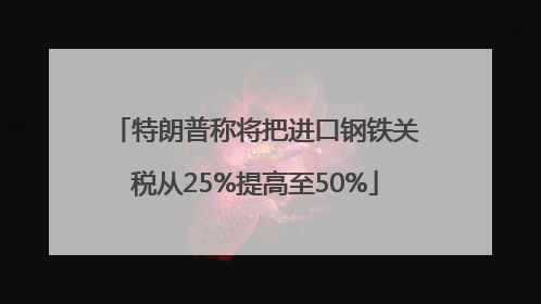 特朗普称将把进口钢铁关税从25%提高至50%