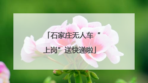 石家庄无人车“上岗”送快递啦