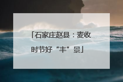 石家庄赵县：麦收时节好“丰”景