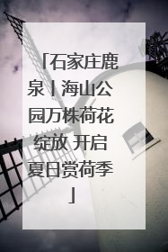 石家庄鹿泉丨海山公园万株荷花绽放 开启夏日赏荷季